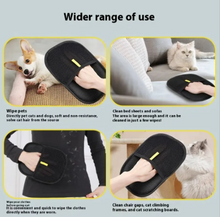 Load image into Gallery viewer, Pet Hair Removal Glove