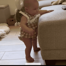 Load image into Gallery viewer, Pet Electrostatic Hair Removal Gloves – Two-Way Bristle Remover for Cat & Dog Hair