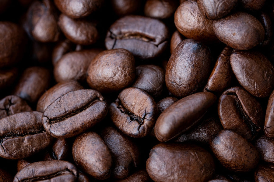 19 Green Coffee Bean Extract Benefits