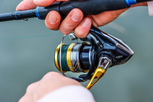 11 Crankbait Types Every Angler Should Know