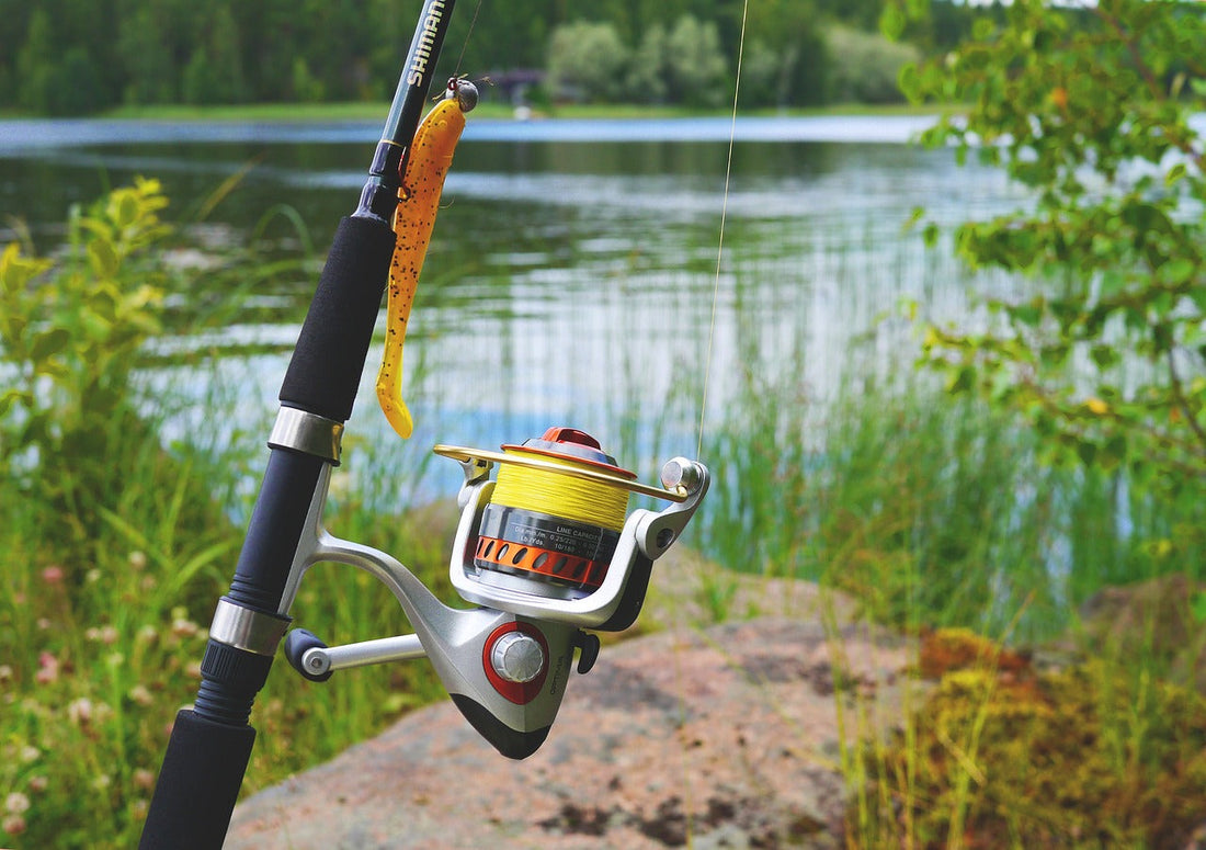 15 Things to Do in Ludington, Michigan (MI)