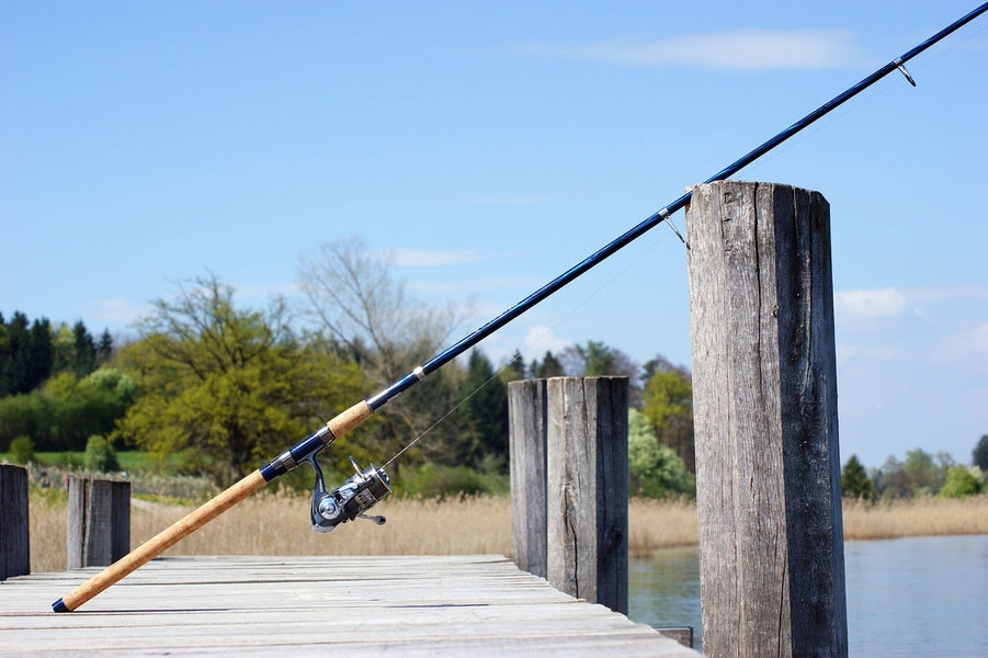 30 Things to Do in Crystal Lake, Illinois (IL)