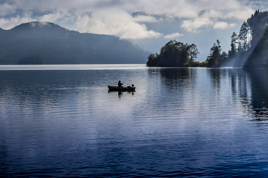 40 Things to Do in Julian, California (CA)