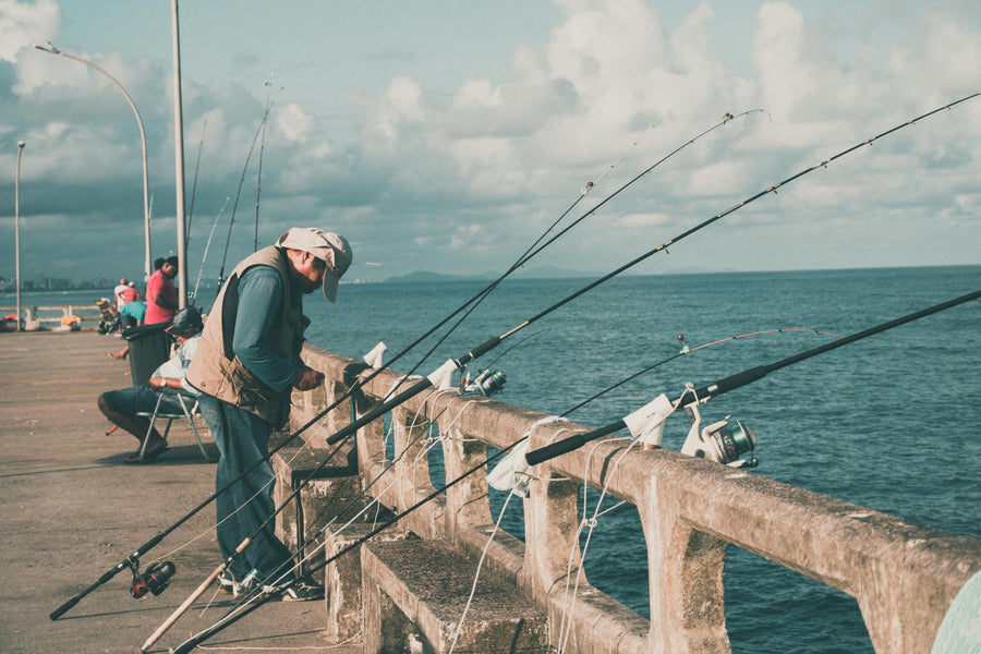 20 Things to Do in Fairhope, Alabama (AL)