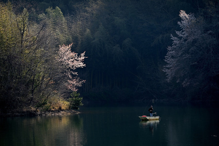 30 Things to Do in Humboldt County, California (CA)