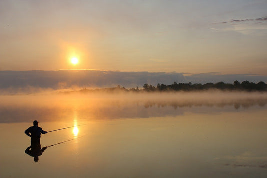 30 Things to Do in Northwest Indiana (IN)