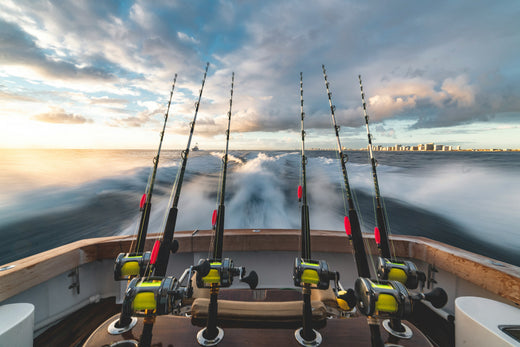 13 Types of Fishing Rods Explained